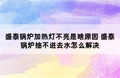 盛泰锅炉加热灯不亮是啥原因 盛泰锅炉抽不进去水怎么解决